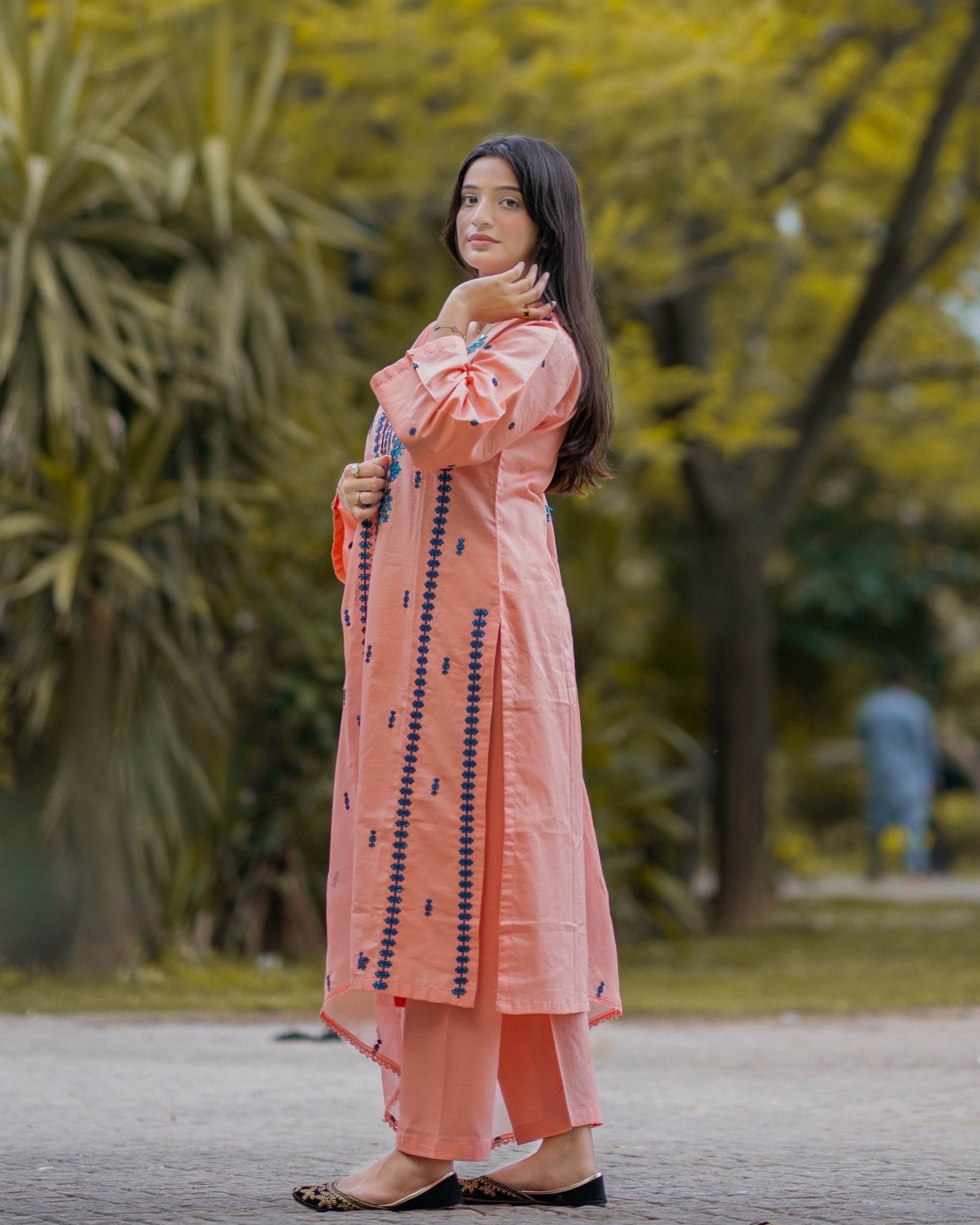 Zeenat Emb 3pc