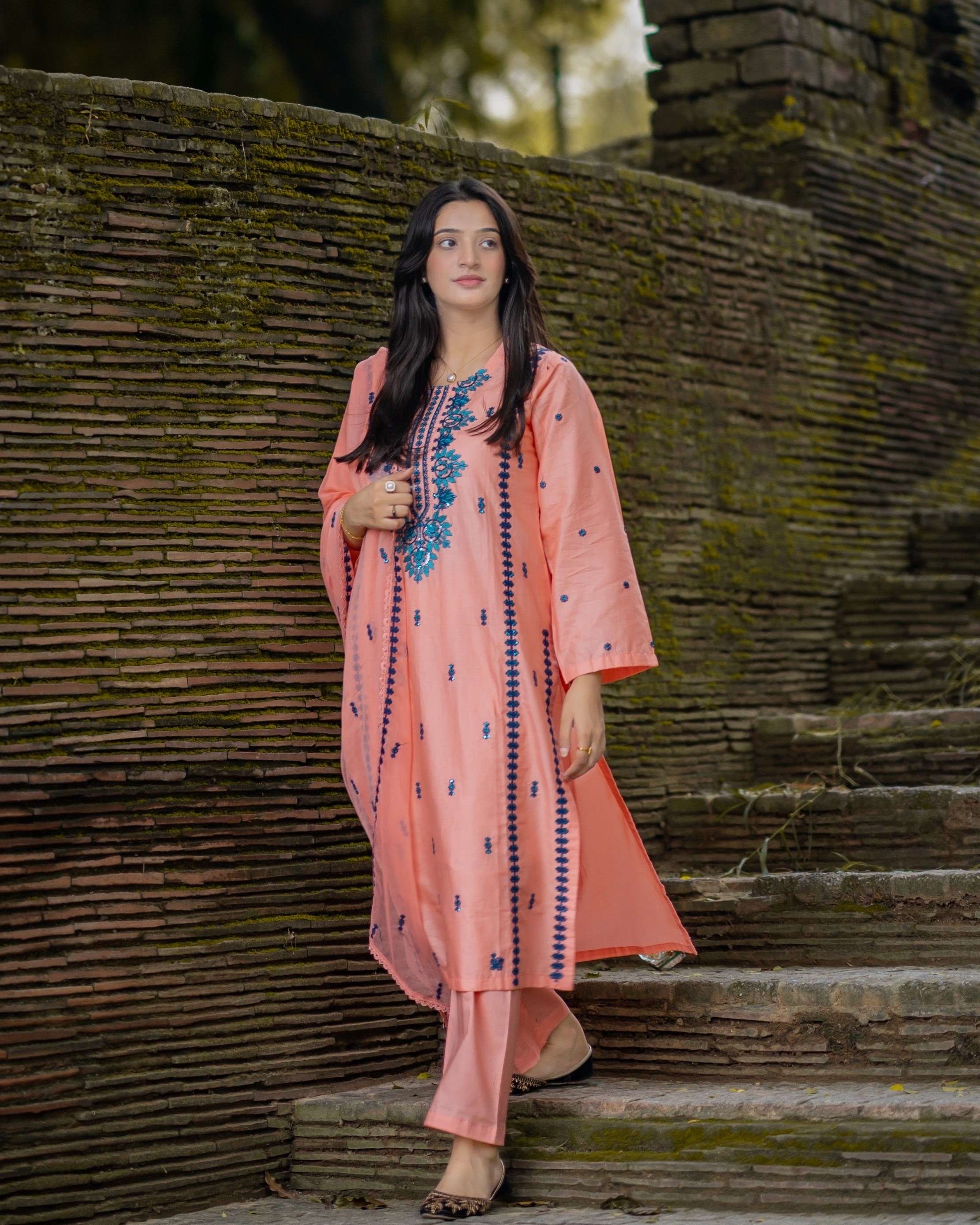 Zeenat Emb 3pc